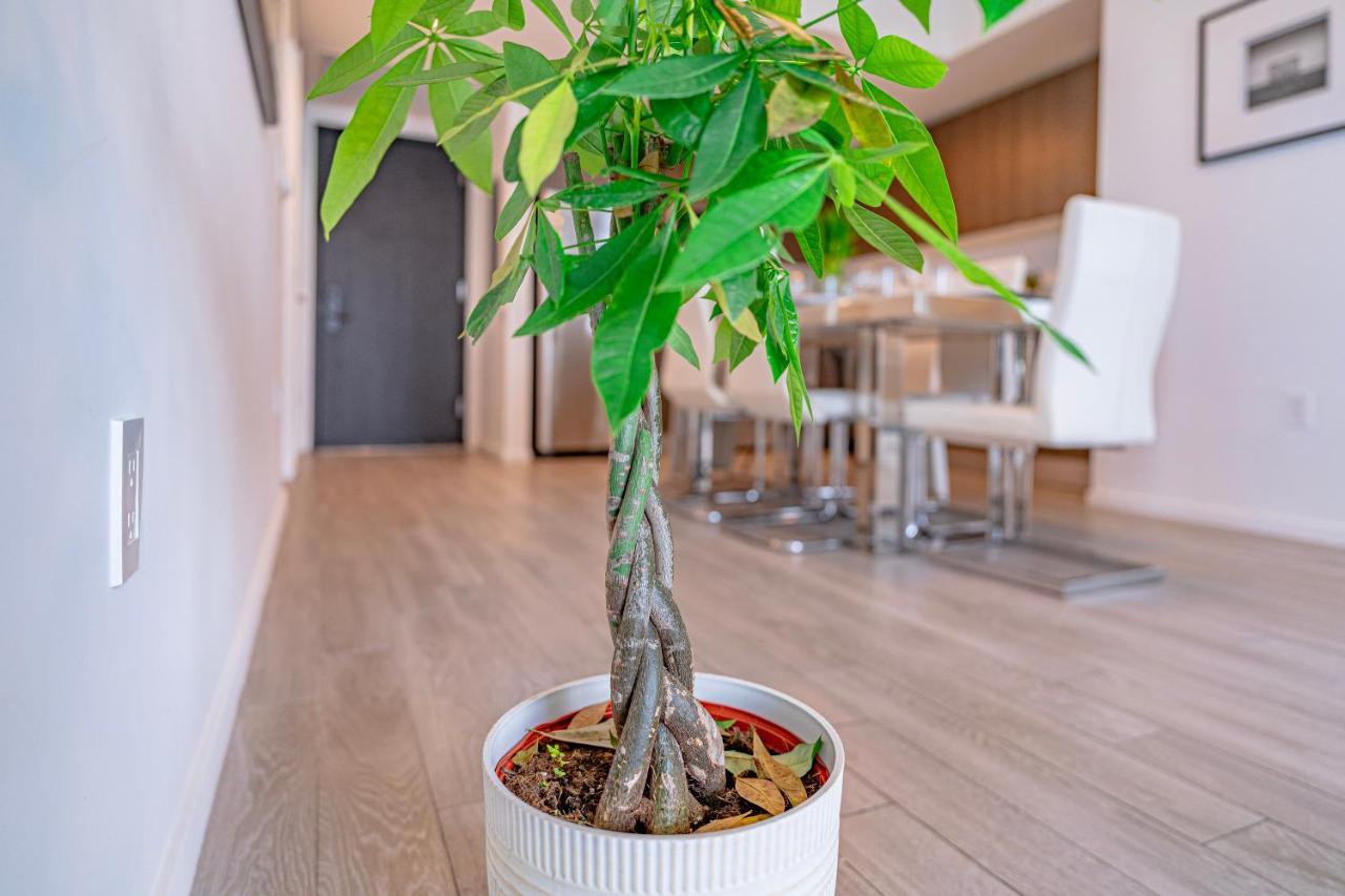 Luxurious 2-Bed Apartment With Breathtaking Bay Views!! Miami Eksteriør bilde